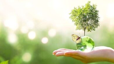 بومشناسی: چرخهی حیات، انرژی و تعامل موجودات زنده با محیط