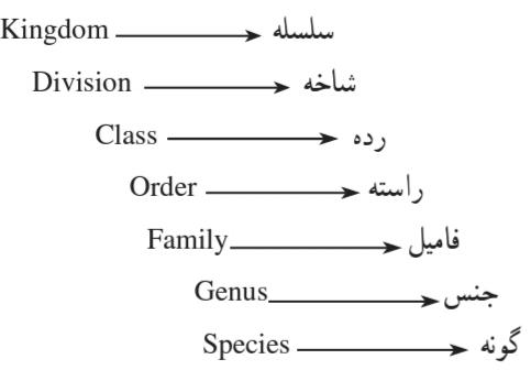 دستهبندی (تاکسونومی) (Taxonomy)