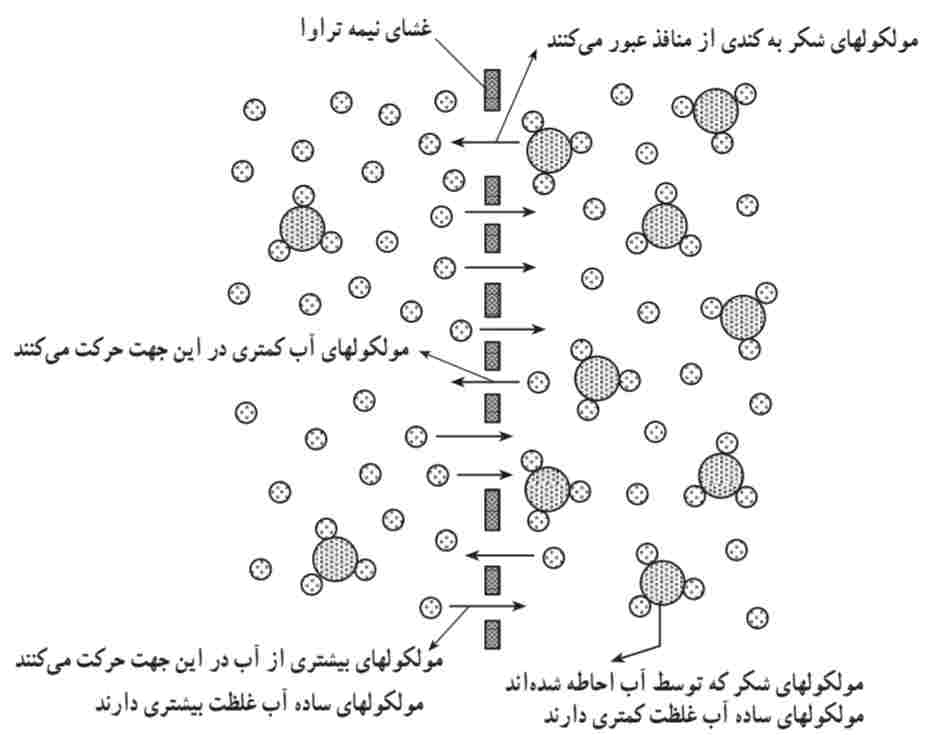 پديده اسمز