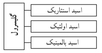ساختمان تری گلیسریدها، سه اسید چربی که با گلیسرول ترکیب می‌شوند