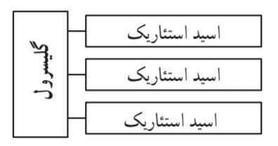 تری استئارین که سه مولکول اسید استئاریک