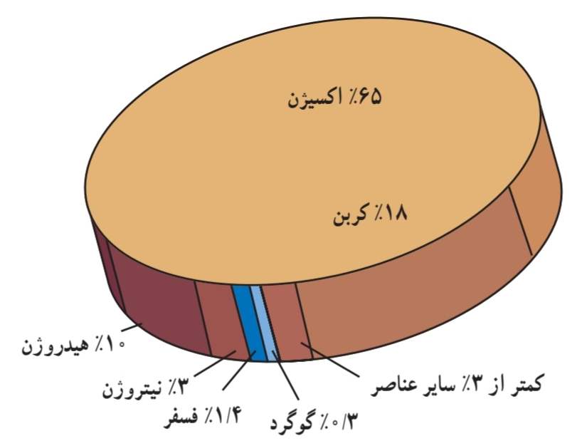 درصد عناصر سازنده بدن جانداران