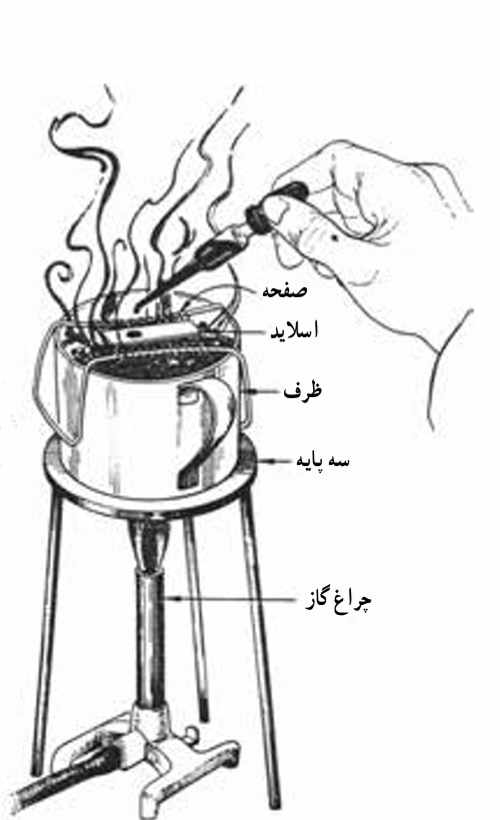 بخار دادن به لام در حین رنگ آمیزی اسپور باکتری‌ها