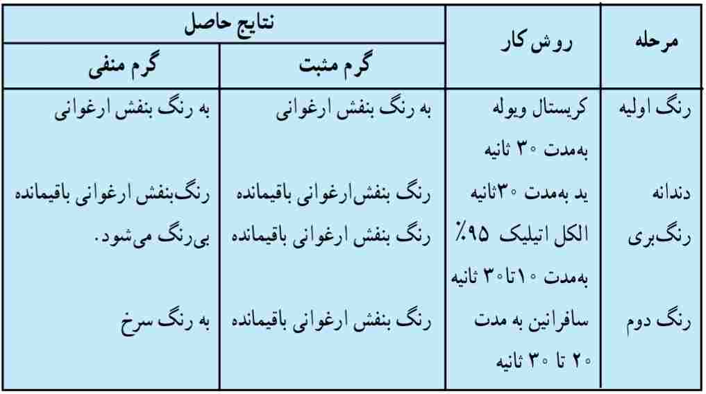 مراحل رنگ آمیزی گرم