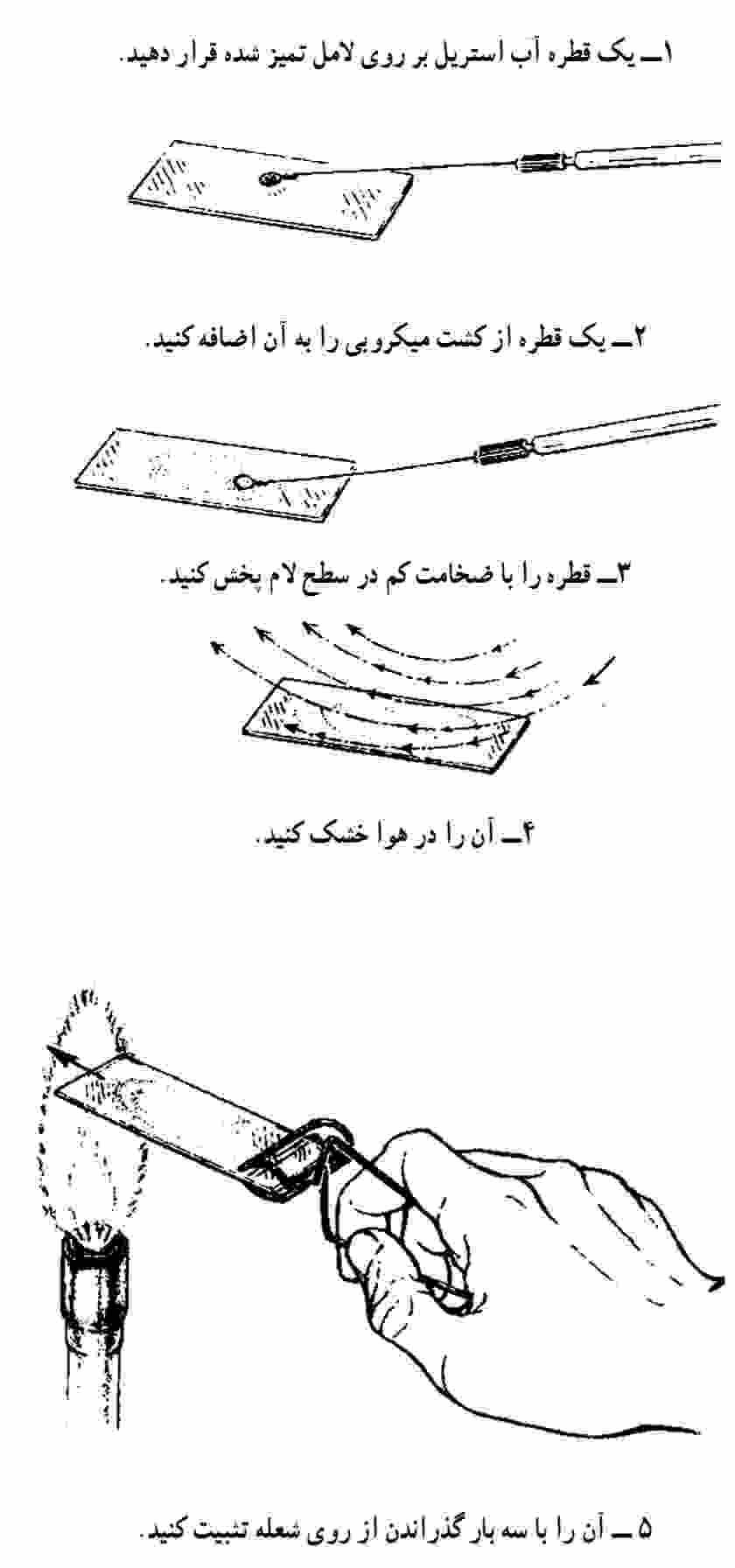 تهیه گستره و تثبیت میکروارگانیسم‌ها برای رنگ آمیزی