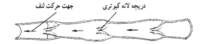 ساختمان رگ لنفي