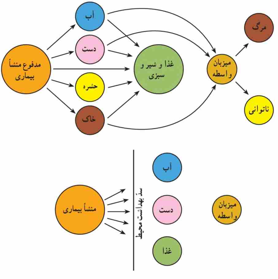 انتقال بیماری‌ها به وسیله مدفوع