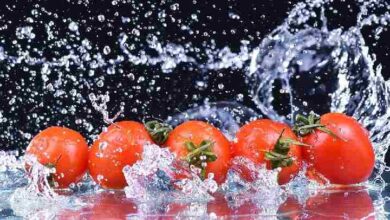 مسمومیت؛ راههای ورود سم به بدن؛ کمکهای نخستین در مسمومیتها