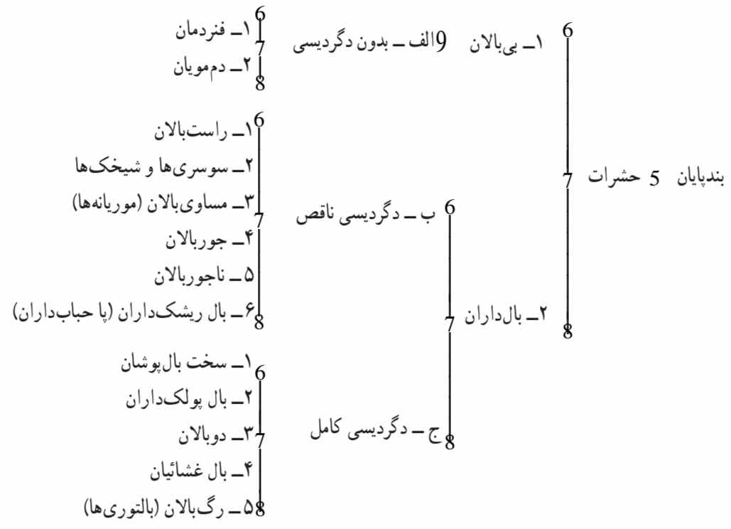 طبقه‌بندی حشرات