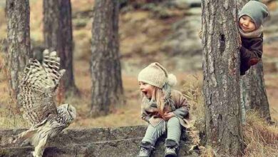 جانورشناسی؛ خصوصیات گروههای مهم جانوری