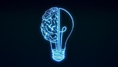آزمون و امتحان نوروآناتومی