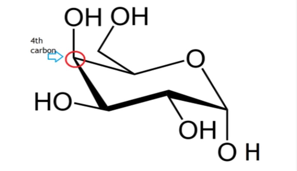 گالاکتوز