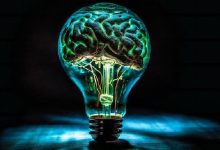 علوم اعصاب پروس؛ مطالعه سیستم عصبی