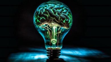 علوم اعصاب پروس؛ مطالعه سیستم عصبی