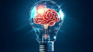 ترجمه آنلاین کتاب علوم اعصاب به زبان ساده