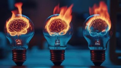 مباحث نوروفیزیولوژی در کتاب فیزیولوژی پزشکی گایتون