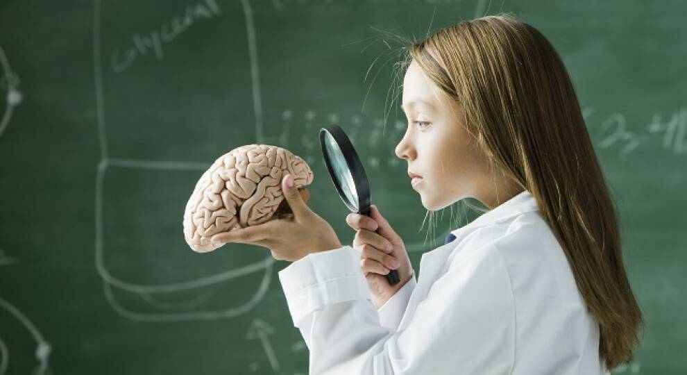 فیزیولوژی پزشکی گایتون و هال؛ دستگاه عصبی اتونوم و مدولای فوق کلیه