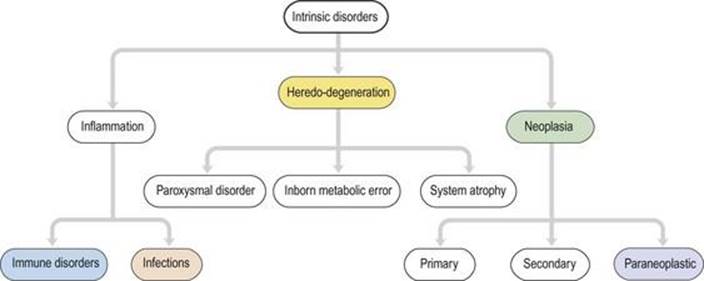 اختلالات درونی سیستم عصبی عضلانی
