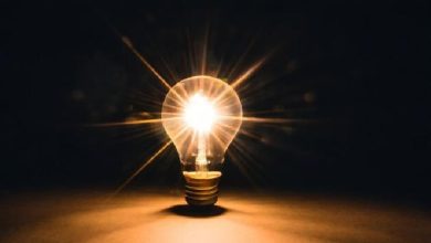نوروآناتومی بالینی؛ نخاع