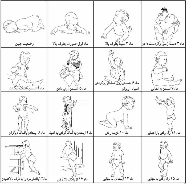 فعالیتهای حرکتی نوزاد تا راه رفتن به تنهایی