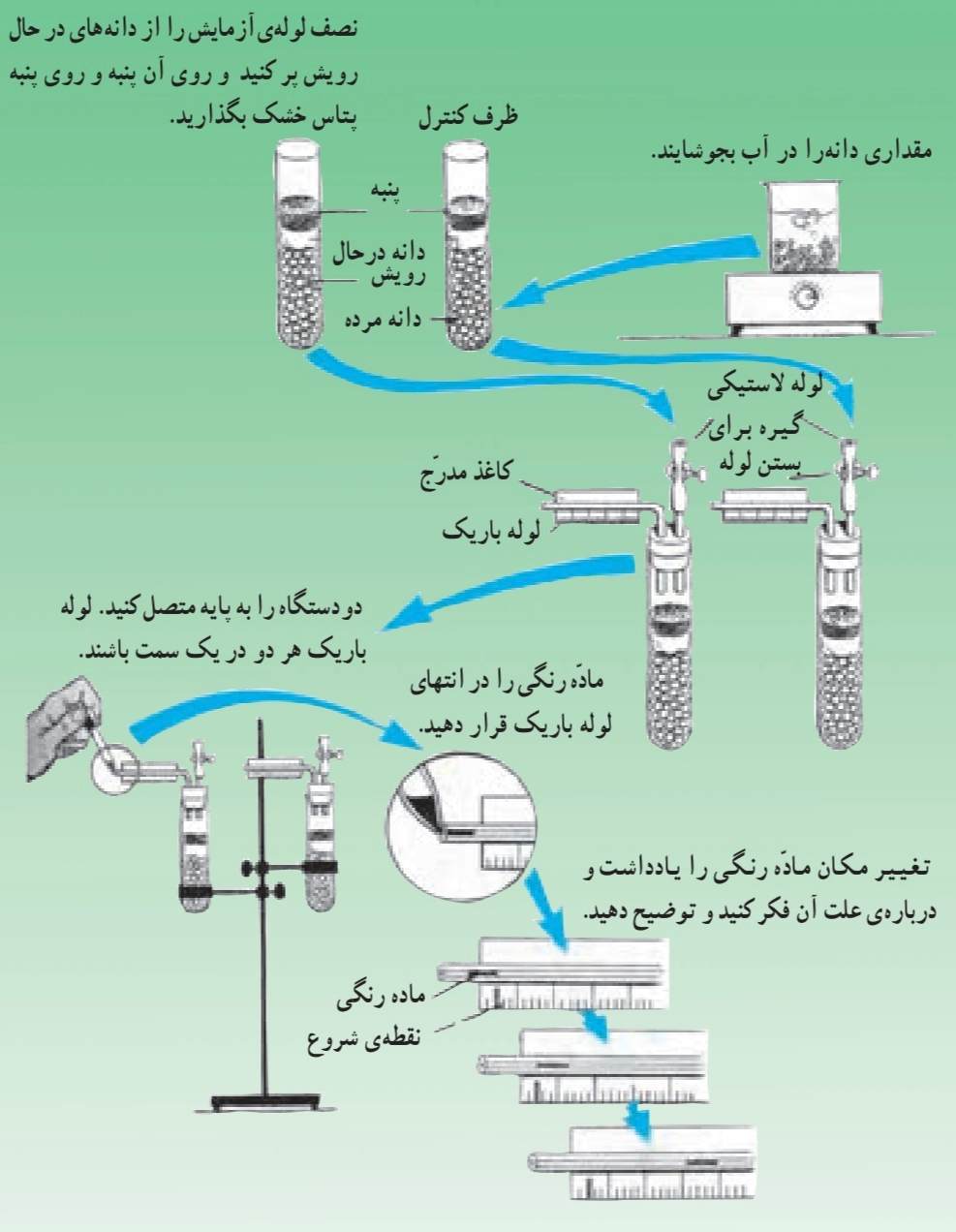 بررسی میزان اکسیژن مصرف شده در هنگام رویش دانه‌های نخود