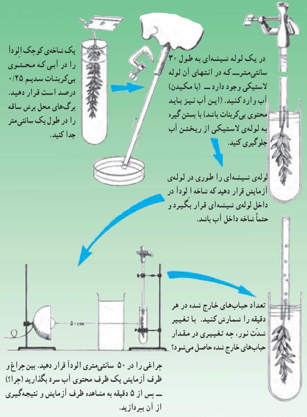 بررسی اثر نور در فتوسنتز و مشاهده ی خروج گاز اکسیژن از گیاه