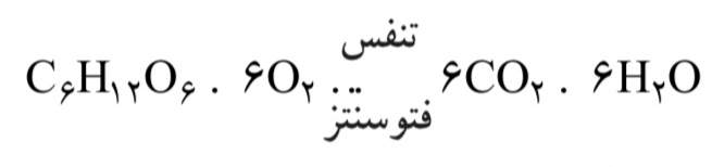 تنفس