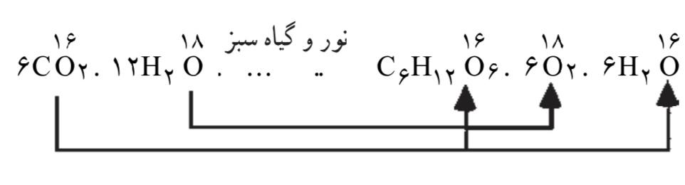 فتوسنتز