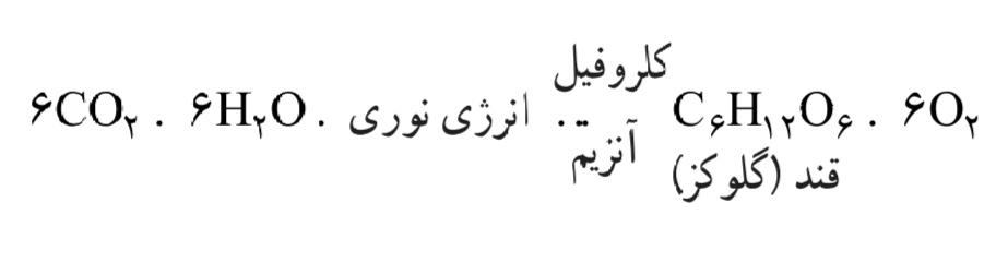 فرایند فتوسنتز
