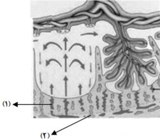 کنکور زیست داخل کشور و خارج از کشور