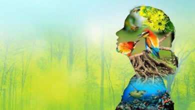 تصویرنامه مباحث زیست یازدهم؛ شکل های فصل‌های کتاب زیست شناسی یازدهم