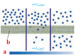انتشار ساده