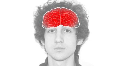 فیزیولوژی پزشکی گایتون و هال؛ چشم؛ فیزیولوژی بینایی در عصبی مرکزی بینایی
