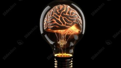 نوروبیولوژی، نوروفیزیولوژی، نوروآناتومی، نوروفارماکولوژی