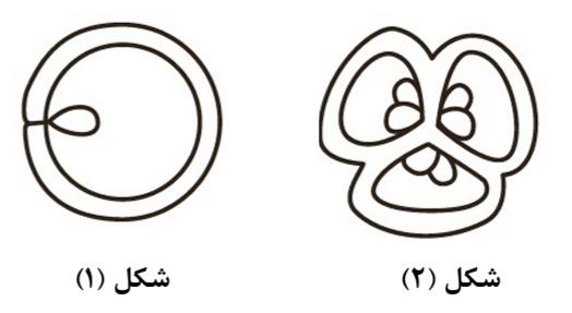شکل سوال ۱۸ سوالات کنکور ۱۴۰۳ تجربی زیست