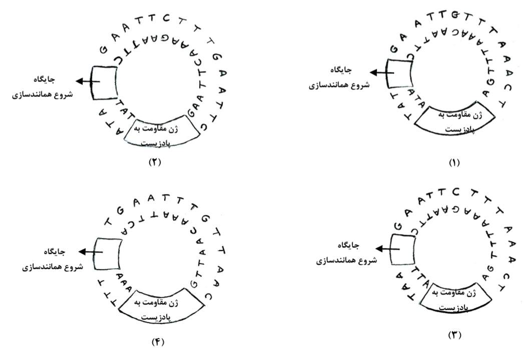 شکل سوال ۴۰ سوالات کنکور ۱۴۰۳ تجربی زیست