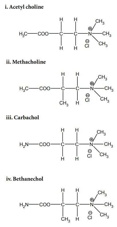 استرهای کولین