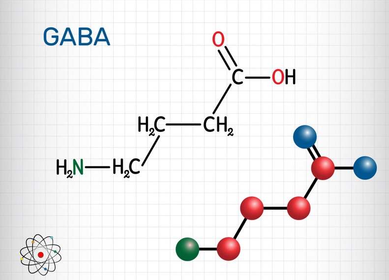 سیستم GABAergic