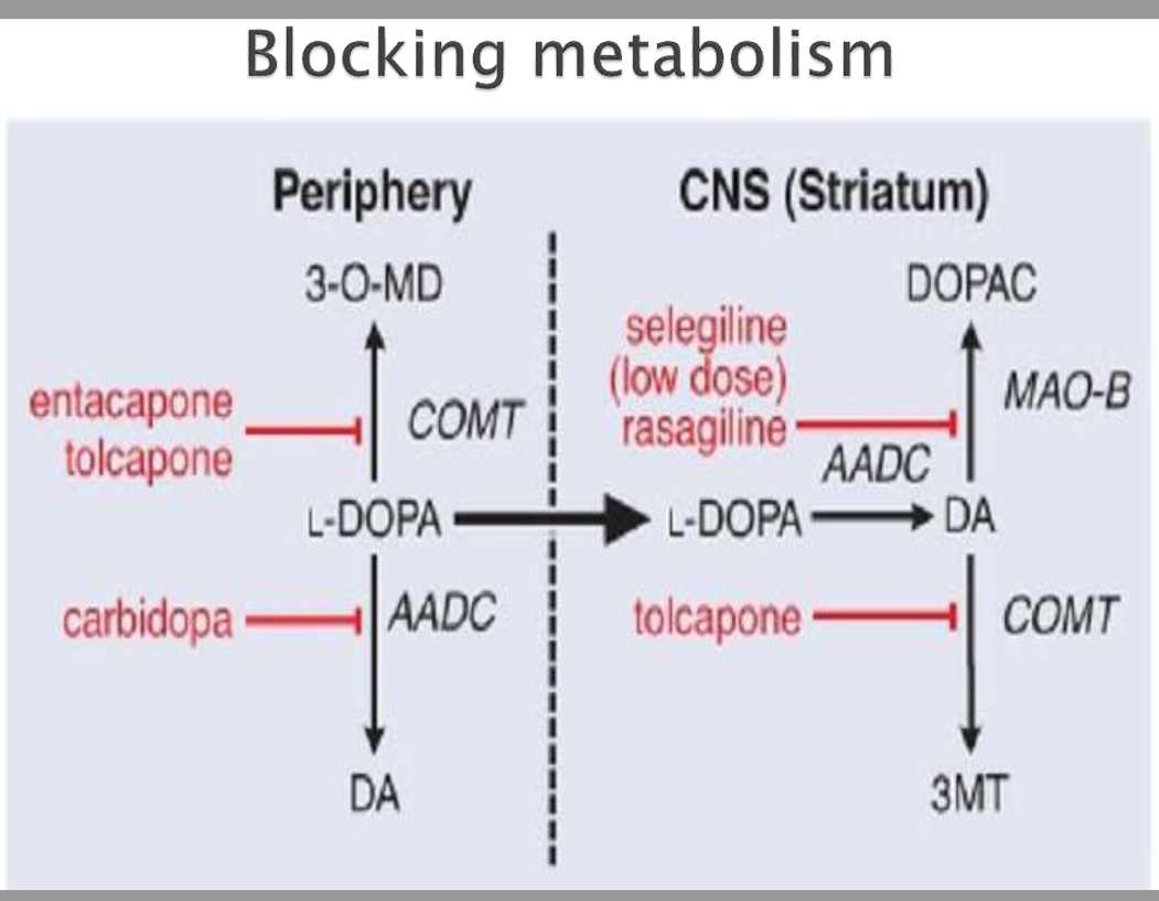 مسدود کردن متابولیسم دوپامین