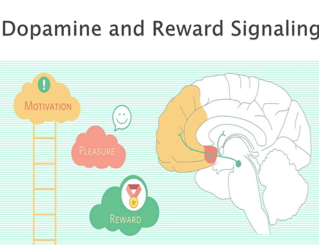 دوپامین و سیگنالینگ پاداش