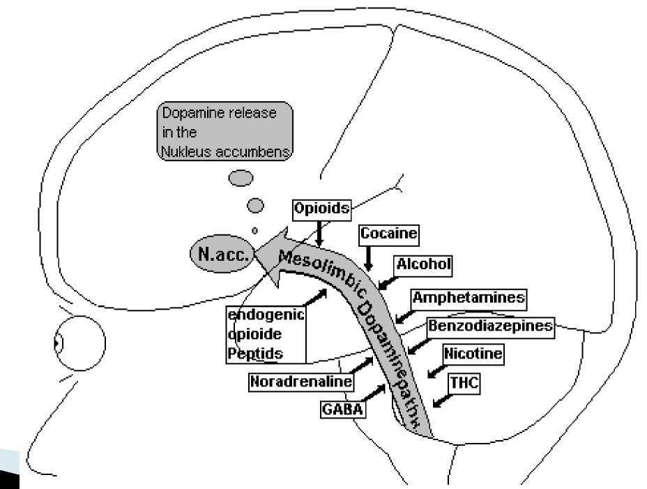 سو مصرف مواد