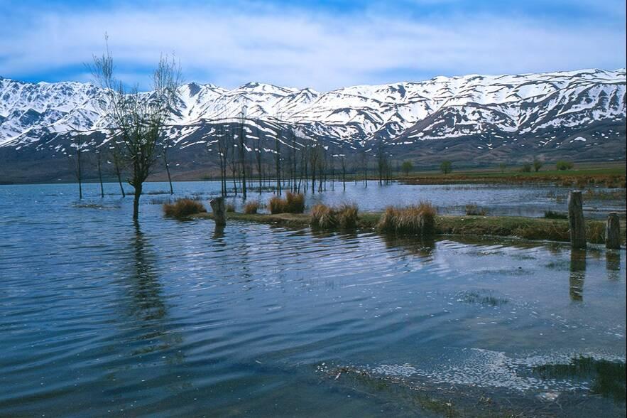 موقعیت چغاخور: choghakhor
