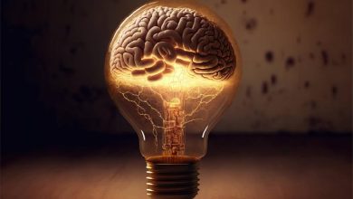 نوروفارماکولوژی؛ داروهای ضد پارکینسون