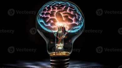 سیستم دوپامینرژیک؛ فصل ۶ کتاب نوروفارماکولوژی مولکولی اریک نستلر فونداسیونی برای علوم اعصاب بالینی