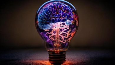 تصویربرداری عصبی؛ الکتروانسفالوگرافی؛ الکتروانسفالوگرافی کمی؛ نقشه مغزی