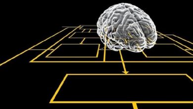 دامنه dementiacare.ir: پرستاری از زوال عقل و دامنه braincare.ir: تیمار مغز
