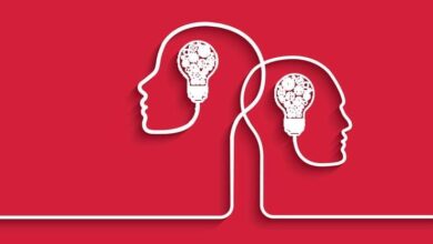 دامنه brandinstitute.ir: انستیتوی برند و نمانام و brightbrain.ir: مغز امیدبخش