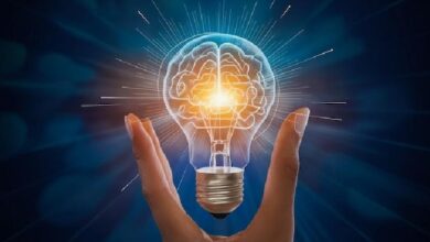 دامنه citybio.ir: شهر زیست شناسی و cns-pns.ir: مغز و اعصاب