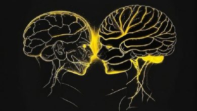 دامنه bionomics.ir: قانون زندگی و biomorphic.ir: بیومورفیک