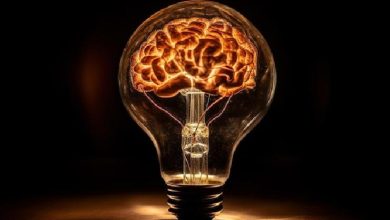 سیستم کولینرژیک و هیستامینرژیک؛ نوروفارماکولوژی مولکولی؛ نوروساینس بالینی